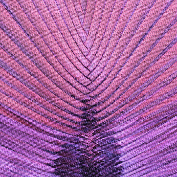 Machine Washable Transitional Orchid Purple Rug, wshpat283pur