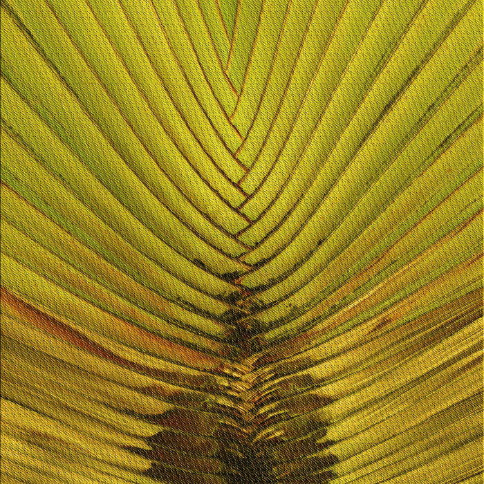 Patterned Dark Bisque Brown Rug, pat283yw