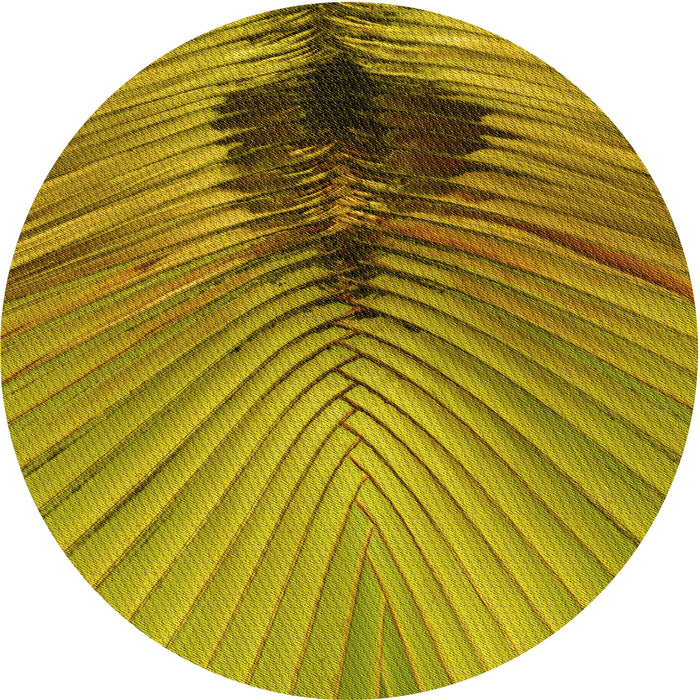 Square Machine Washable Transitional Dark Bisque Brown Rug in a Living Room, wshpat283yw