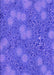 Patterned Purple Mimosa Purple Rug, pat2831pur