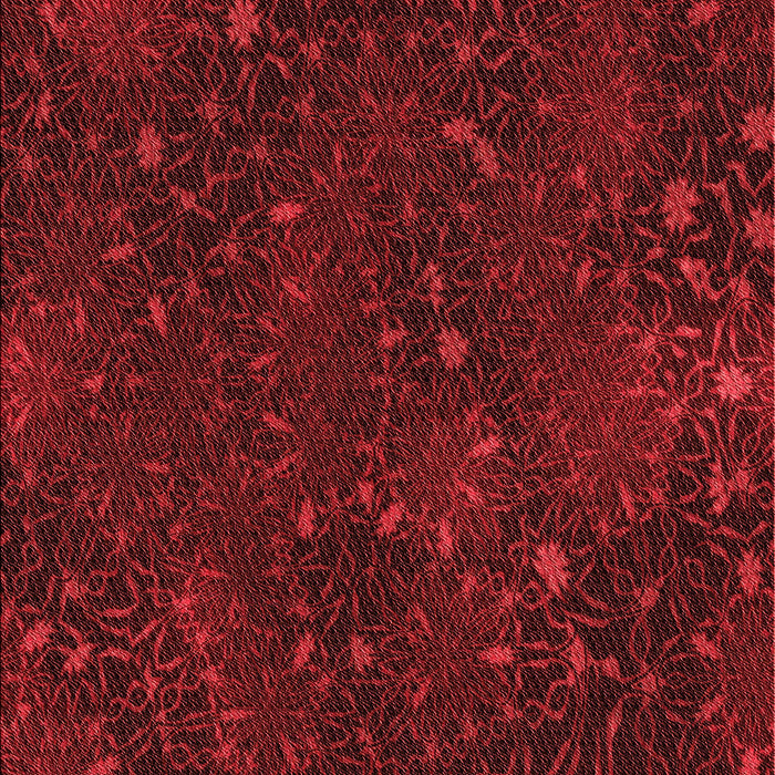 Patterned Cranberry Red Rug, pat2832rd