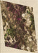 Patterned Yellow Rug, pat2836brn