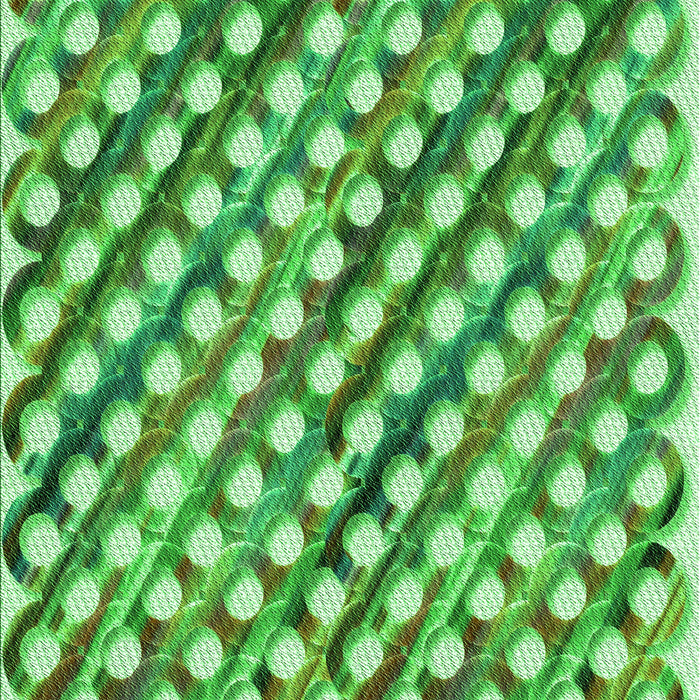 Machine Washable Transitional Green Rug, wshpat2838grn