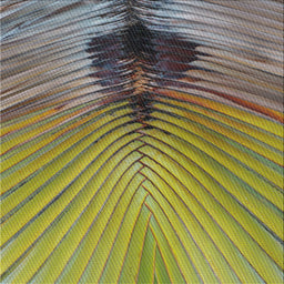 Square Patterned Avocado Green Novelty Rug, pat283