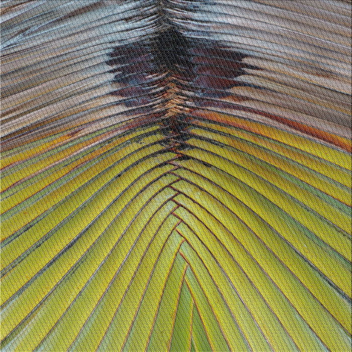 Square Patterned Avocado Green Novelty Rug, pat283