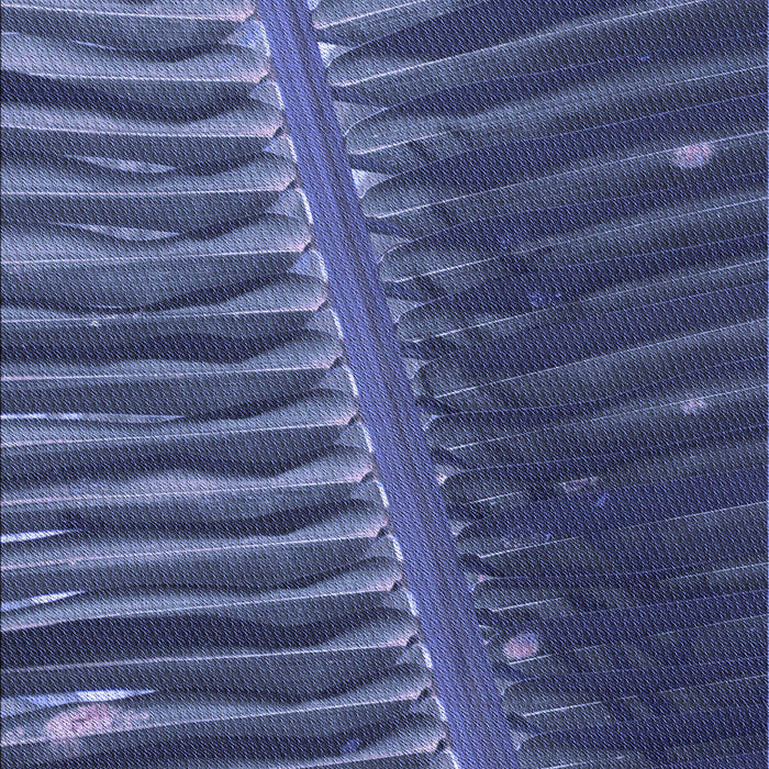 Patterned Periwinkle Purple Rug, pat284blu