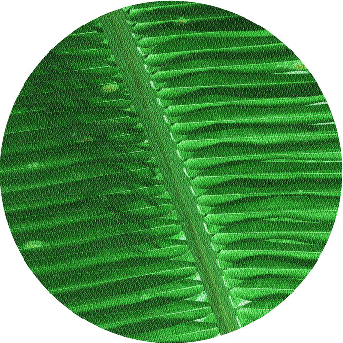 Square Machine Washable Transitional Green Rug in a Living Room, wshpat284grn