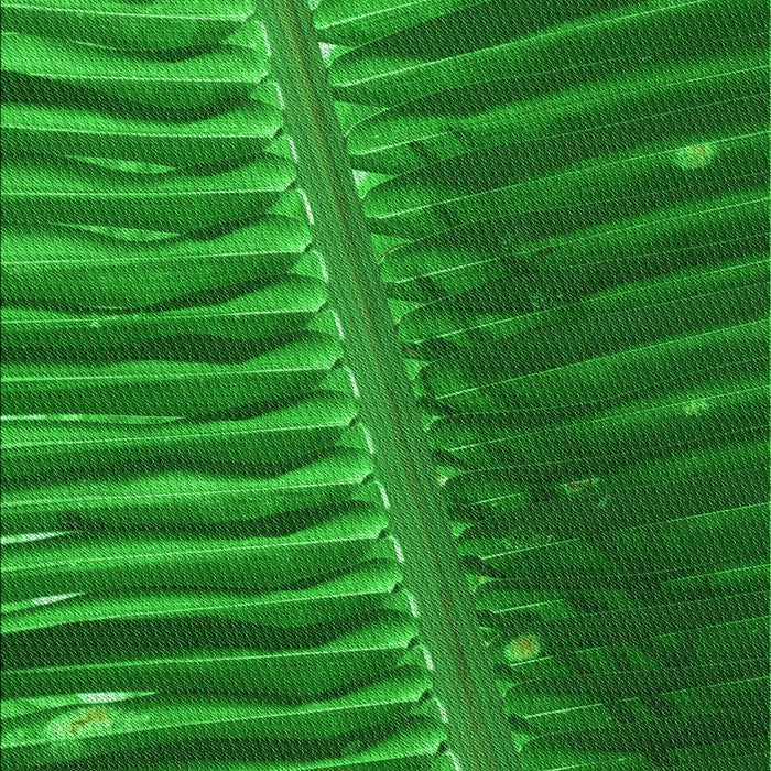 Patterned Green Rug, pat284grn