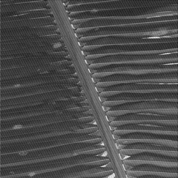 Round Patterned Charcoal Black Rug, pat284gry