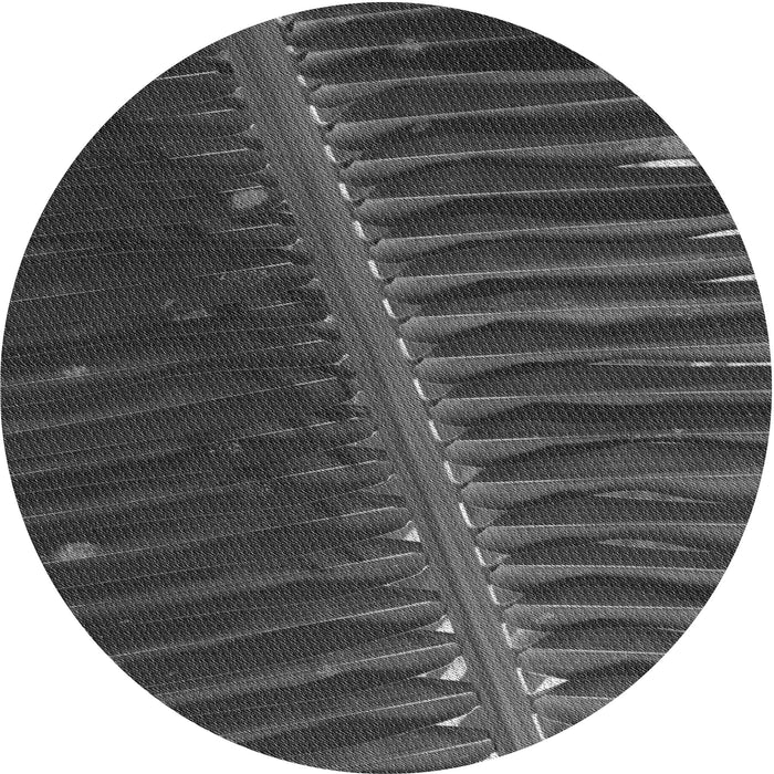 Square Machine Washable Transitional Charcoal Black Rug in a Living Room, wshpat284gry