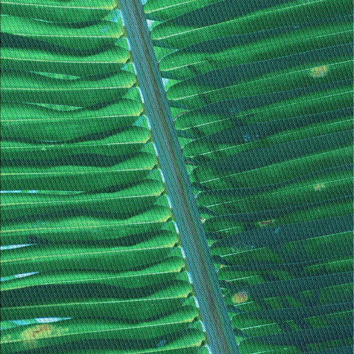 Machine Washable Transitional Medium Teal Green Rug, wshpat284lblu