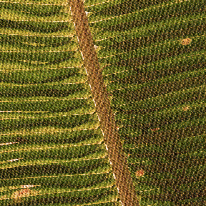 Patterned Bakers Brown Rug, pat284org