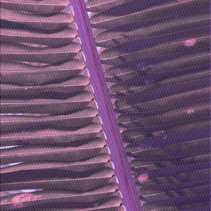 Patterned Orchid Purple Rug, pat284pur