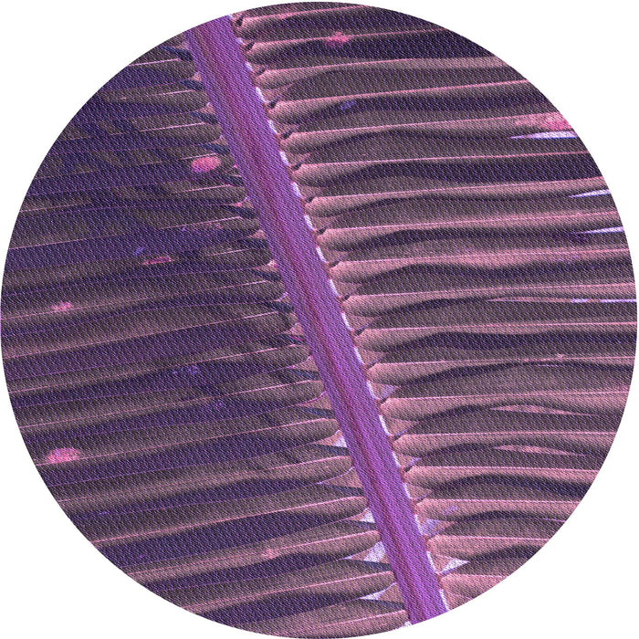 Square Machine Washable Transitional Orchid Purple Rug in a Living Room, wshpat284pur