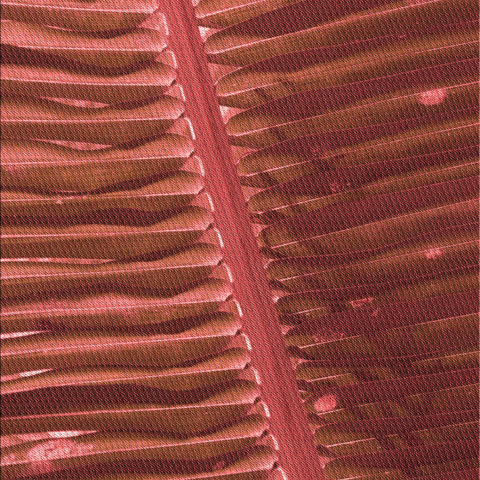 Patterned Red Rug, pat284rd