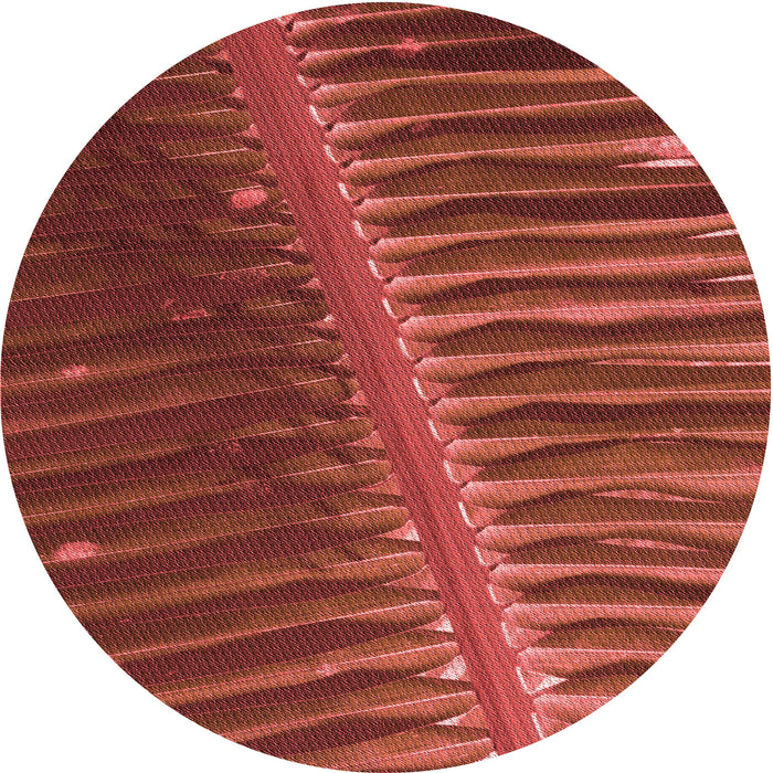 Square Machine Washable Transitional Red Rug in a Living Room, wshpat284rd