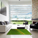 Square Patterned Green Rug in a Living Room, pat284yw