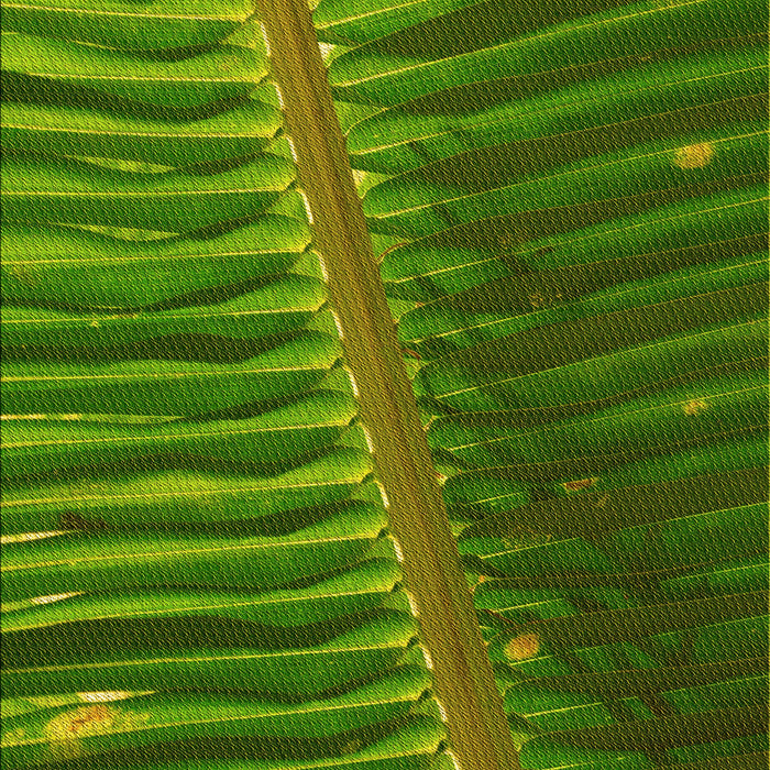 Machine Washable Transitional Green Rug, wshpat284yw