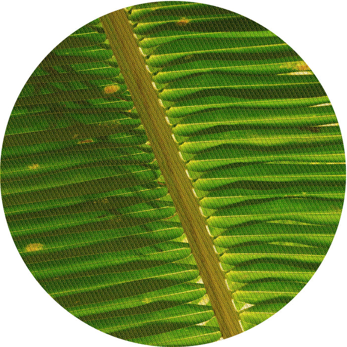 Square Machine Washable Transitional Green Rug in a Living Room, wshpat284yw