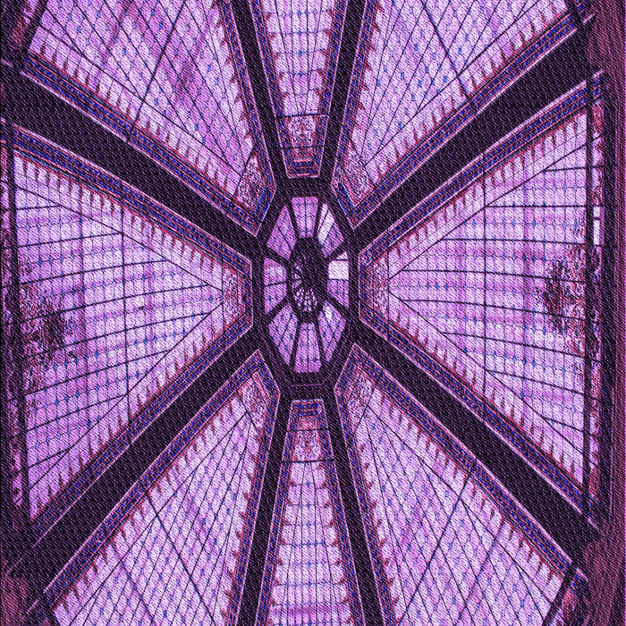 Patterned Purple Rug, pat2841pur