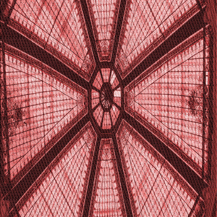 Patterned Cranberry Red Rug, pat2841rd