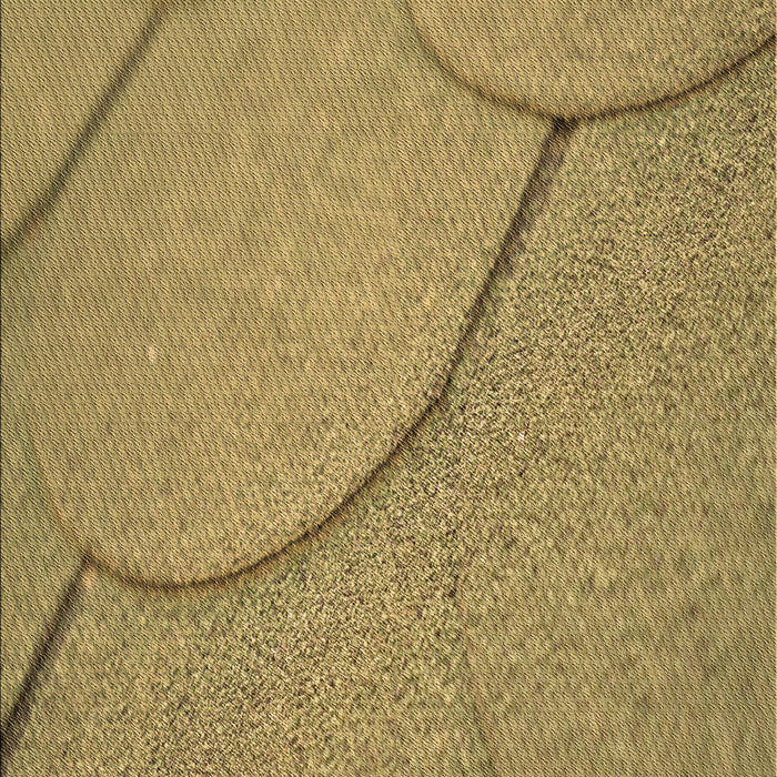 Patterned Golden Gold Rug, pat2842brn