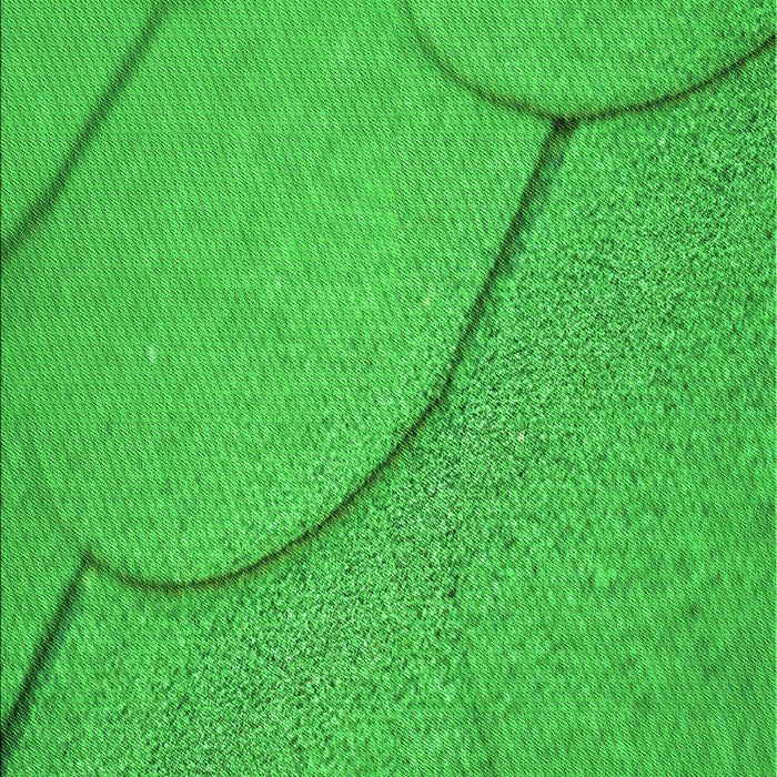 Patterned Lime Green Rug, pat2842grn