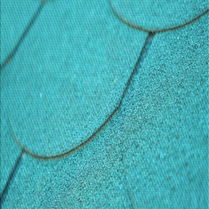Patterned Dark Turquoise Green Rug, pat2842lblu