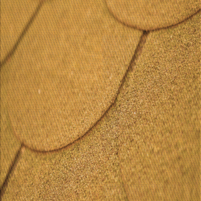 Patterned Sedona Brown Rug, pat2842org