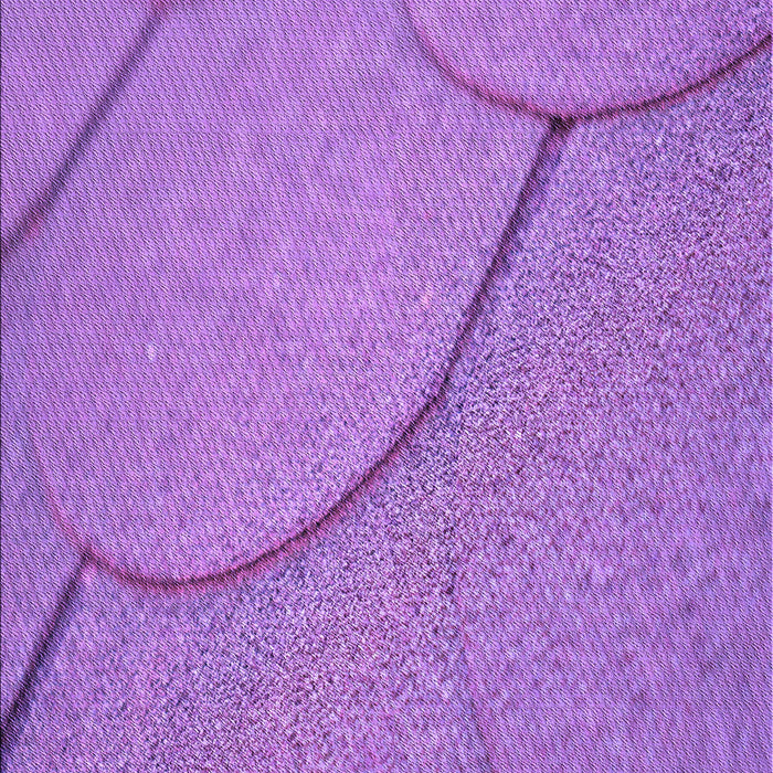 Machine Washable Transitional Purple Rug, wshpat2842pur