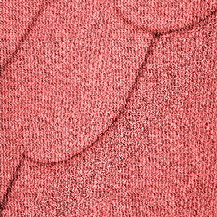 Machine Washable Transitional Red Rug, wshpat2842rd