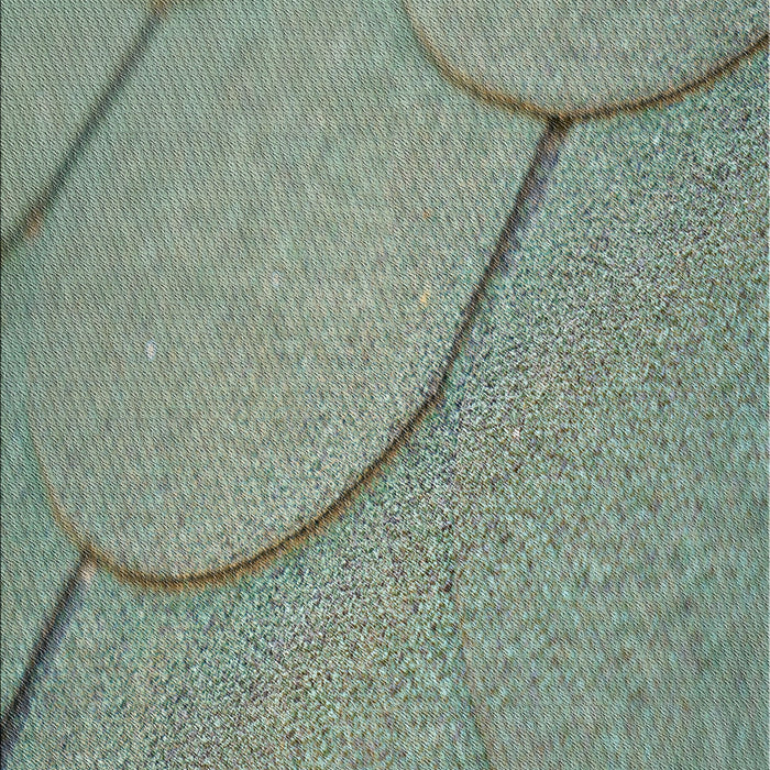 Machine Washable Transitional Green Rug, wshpat2842