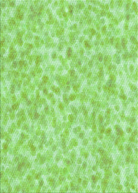 Machine Washable Transitional Green Rug, wshpat2846grn