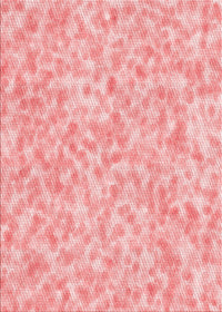 Machine Washable Transitional Pink Rug, wshpat2846rd