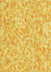 Machine Washable Transitional Bold Yellow Rug, wshpat2846yw