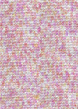 Patterned Purple Pink Novelty Rug, pat2846