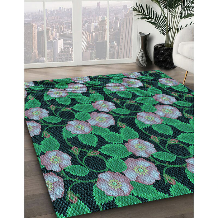 Machine Washable Transitional Mint Green Rug in a Family Room, wshpat2848lblu