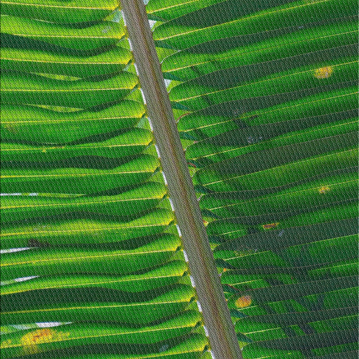 Patterned Deep Emerald Green Novelty Rug, pat284