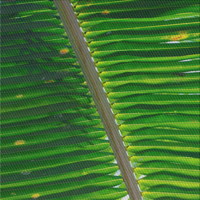 Square Patterned Deep Emerald Green Novelty Rug, pat284