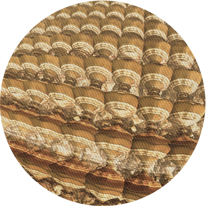 Square Machine Washable Transitional Saddle Brown Rug in a Living Room, wshpat285brn