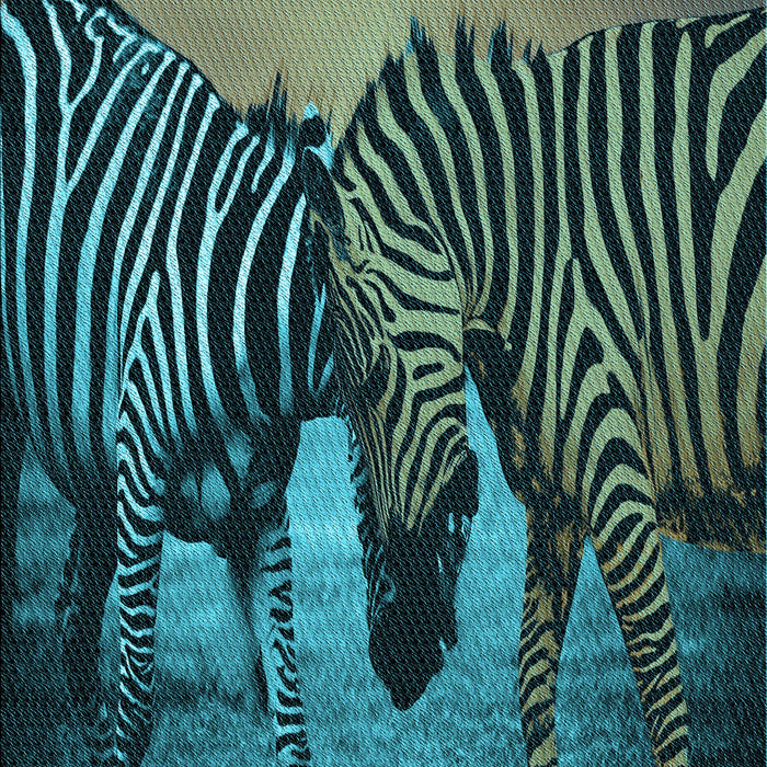 Machine Washable Transitional Deep Teal Green Rug, wshpat2855lblu