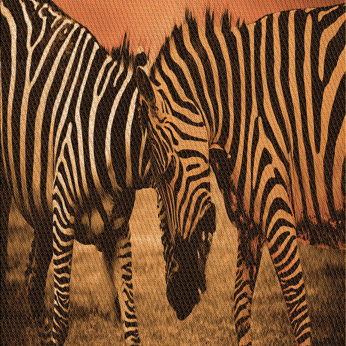 Patterned Orange Rug, pat2855org