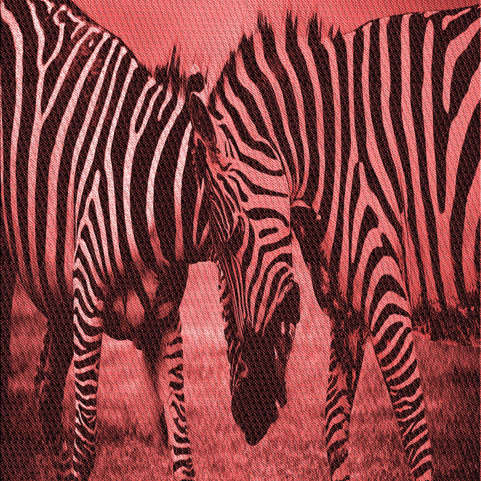 Patterned Maroon Red Rug, pat2855rd