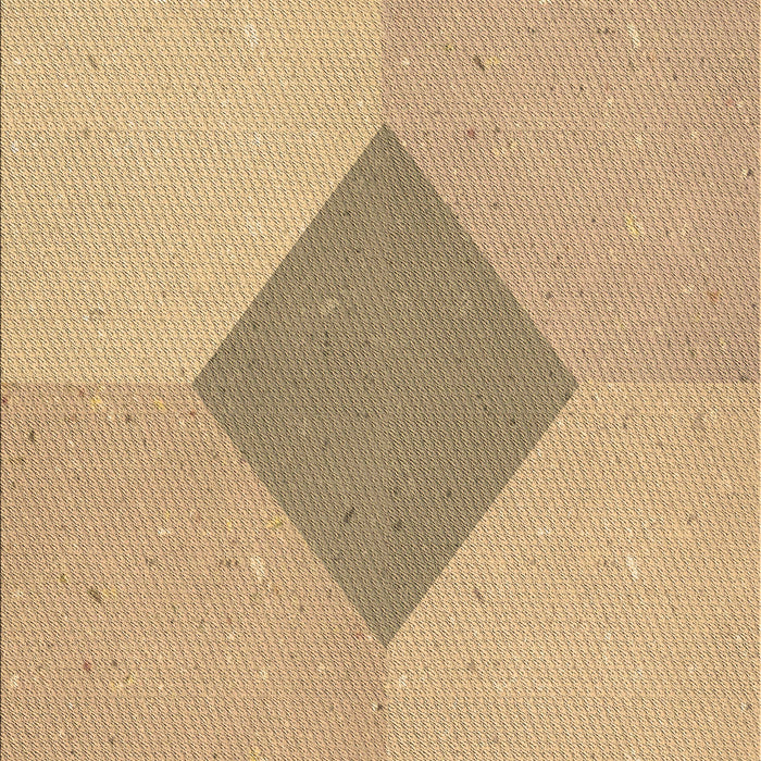 Machine Washable Transitional Bronze Brown Rug, wshpat2856brn