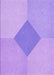 Machine Washable Transitional Purple Rug, wshpat2856pur