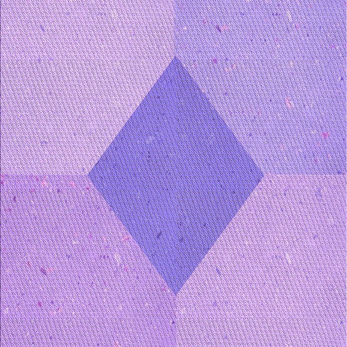 Machine Washable Transitional Purple Rug, wshpat2856pur
