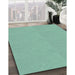 Patterned Mint Green Rug in Family Room, pat2857lblu