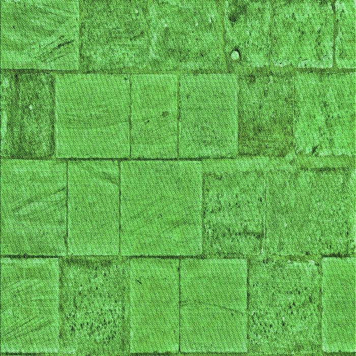 Machine Washable Transitional Neon Green Rug, wshpat2858grn