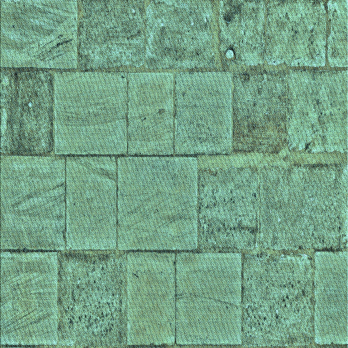 Machine Washable Transitional Green Rug, wshpat2858lblu