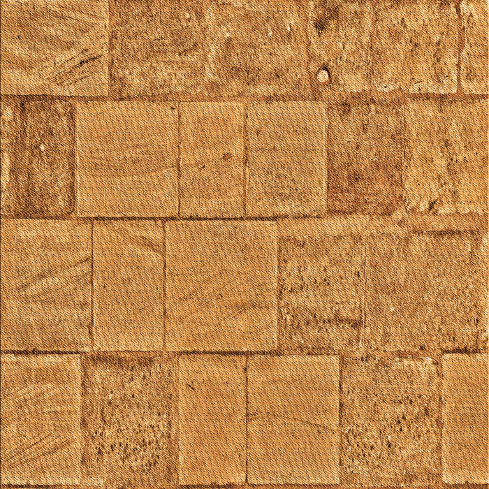 Machine Washable Transitional Sedona Brown Rug, wshpat2858org